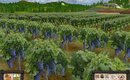 Wine_screen_1_