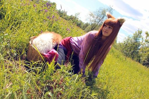 Обо всем - [Best Anime Cosplay] Подборка косплея Хоро (Spice and Wolf)